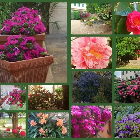 Casa Valdese بيت ضيافة ريو مارينا