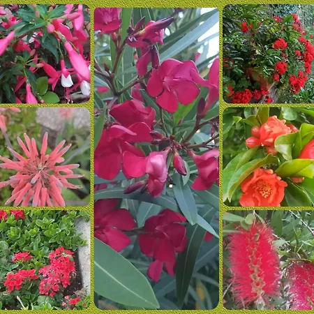 Casa Valdese 3* Rio Marina