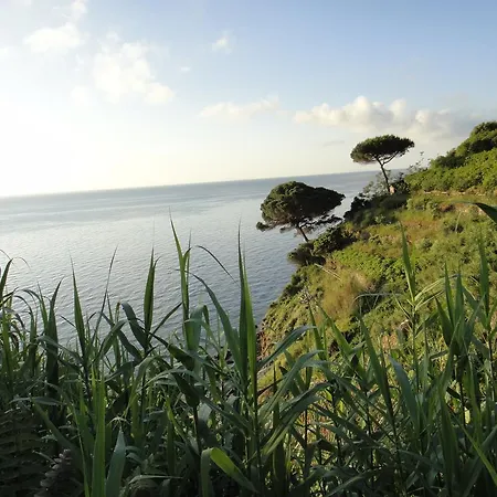 بيت ضيافة Casa Valdese 3*