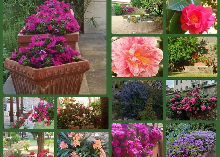 Casa Valdese Gasthuis Rio Marina