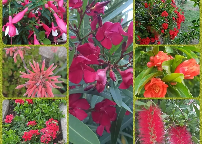 Casa Valdese 3* Rio Marina